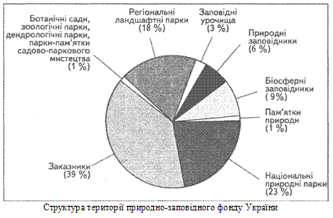 Курсовая работа: Видове різноманіття ящірок фауни України